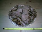 Platter of sliced venison roast.jpg