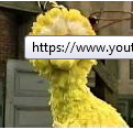 big bird.PNG