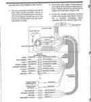 Force Wiring 1BM.jpg