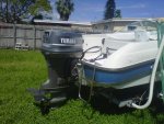 IMG01588-20111012-1356.jpg
