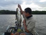 key biscayne trout.jpg