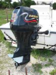 evinrude4stroke.jpg