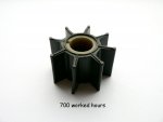 Impeller 700 Hrs.JPG