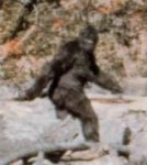 bigfoot.jpg