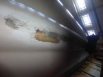 DSC00407.jpg