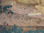 DSC00410.jpg