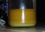 oil-settled.JPG