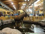 Cabela Store.jpg