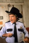 Sheriff-Rosco-P-Coltrane-the-dukes-of-hazzard-30209357-400-599.jpg