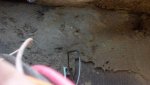 2012-08-21_10-29-39_855.jpg