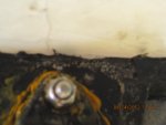 dummer 2012 028.jpg