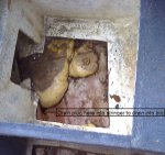 P4075604 annotated.jpg