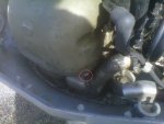 IMG00125-20120902-1445.jpg