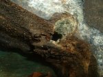 anode bolt hole.jpg