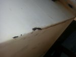 20121010_152918.jpg