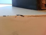 20121011_150838.jpg