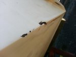 20121011_150945.jpg