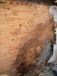 transom nails3.jpg