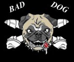 bad dog 512 color 4.jpg