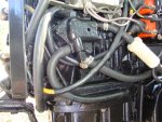 Hoses through fuel pump.JPG