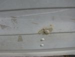 IMG_0363.jpg