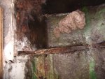 rotten wood for boat 286.jpg