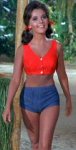 Mary Ann Gilligans Island 00.jpg