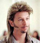 Joe Dirt.jpg