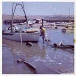 can do002__1222247143_66.245.10.180.jpg