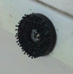 IMG_20130724_204301.jpg