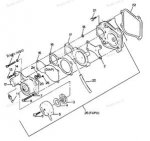 fuel pump diagram.jpg