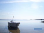 Turkey Day Wakulla beach pics 026.jpg