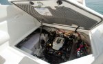 bayliner255engine.jpg