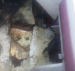 20140321_095341 (1).jpg