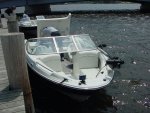 bayliner motor guide.JPG