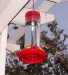 100_1643 Cropped.jpg