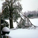 Ice storm 001.jpg