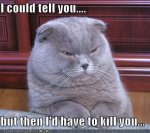 cat-i-could-tell-you.jpg