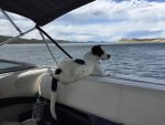 Sophie on boat.jpg