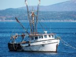 fishing_boat_209423.jpg