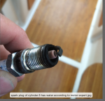 sparkplug.png