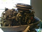 evinrude30...JPG