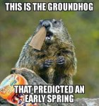 Groundhog.jpg