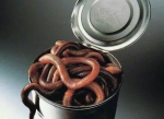 can-of-worms1.png