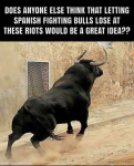 Bull Run.png