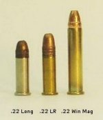 22 rimfire cartridges.JPG