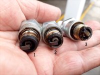 Fouled Spark Plugs.JPG