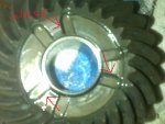 reverse gear.jpg
