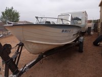 UglyDogLures 75 Starcraft (2).jpg