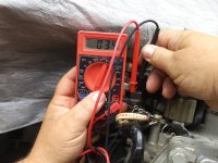 port tan greenish.jpg